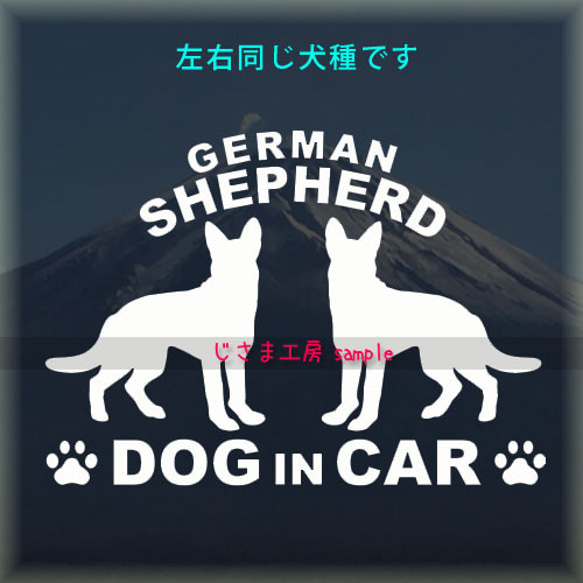 【同一犬種】　かわいい愛犬2頭飼い『Dog　in　Car』シルエットステッカー 1枚目の画像