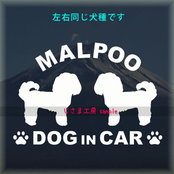 【同一犬種】　かわいい愛犬2頭飼い『Dog　in　Car』シルエットステッカー 1枚目の画像