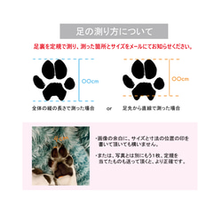 ●肉球足形●写真付！犬猫【思い出 成長記録などに】アクリルフォトスタンド わんちゃん ねこちゃん（足形5cm前後まで） 5枚目の画像