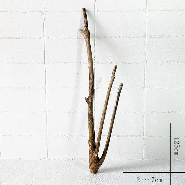 流木 棒流木 1m以上  素材   boe0560
