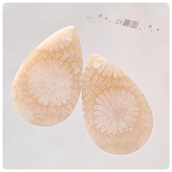 ∴天然石ビーズ∵フォシルコーラル(白いお花)  ペア販売21～32 3枚目の画像