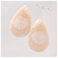 ∴天然石ビーズ∵フォシルコーラル(白いお花)  ペア販売21～32 2枚目の画像