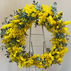 1.スターチス丸リース 母の日】 スターチスリース リース Couronne♡mignonne 通販
