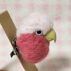 モモイロインコ 羊毛インコ マグネット/ブローチ どちらか注文時選択  受注作成品　工房小鳥屋さん 5枚目の画像