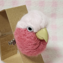 モモイロインコ 羊毛インコ マグネット/ブローチ どちらか注文時選択  受注作成品　工房小鳥屋さん 6枚目の画像