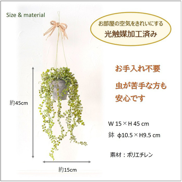  第5張的照片