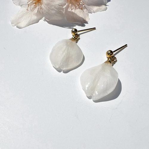 本物の桜 シンプル花びらピアス14kgf♢Sakura white 【※受注制作】納期