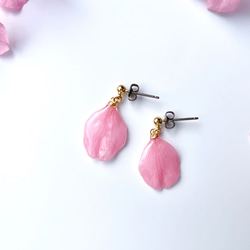 本物の桜 花びらピアス / sakura pink 1枚目の画像