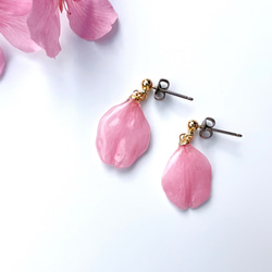 本物の桜 花びらピアス / sakura pink 2枚目の画像