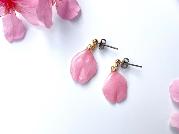 本物の桜 花びらピアス / sakura pink 2枚目の画像