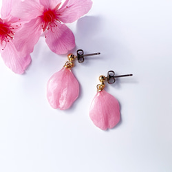 本物の桜 花びらピアス / sakura pink 4枚目の画像