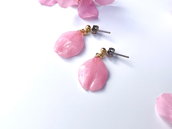 本物の桜 花びらピアス / sakura pink 3枚目の画像
