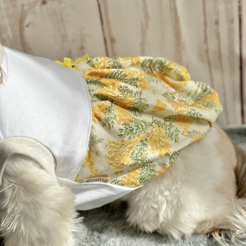 完売 犬服 ミモザな服 ペット服 わんこ服 トイプードル チワワ 犬服・アクセサリー