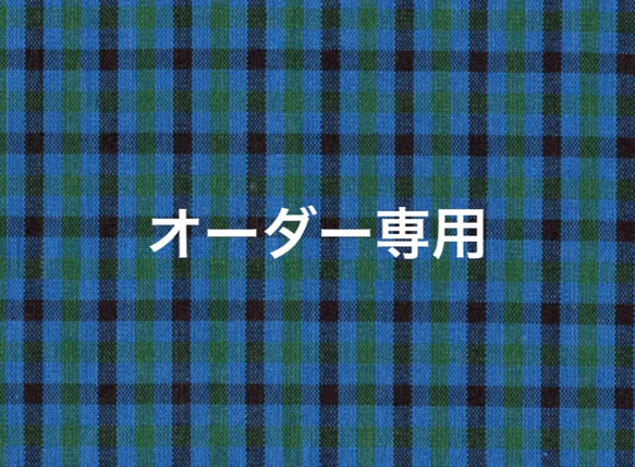 【morimo様専用カート】 1枚目の画像