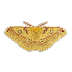 ワッペン】Moth（蛾）シリーズ イザベラミズアオ ワッペン