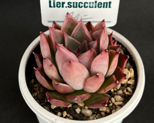 e35d3dbab13a94580111be97db730e