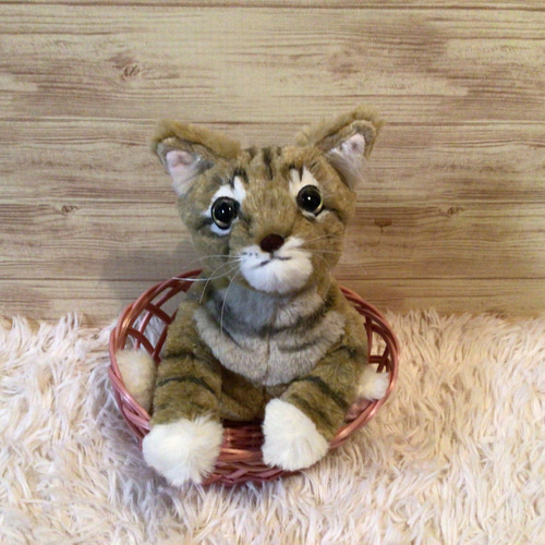 キジトラ子猫縫いぐるみ 18センチ 猫の日2024 ぬいぐるみ もんぺるしぇ