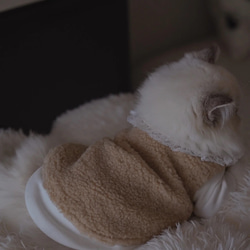 【雲にのる】無垢材キャットタワー北欧風 木製 天然木 ペット家具　猫ベッド（翌日発送可能） 5枚目の画像
