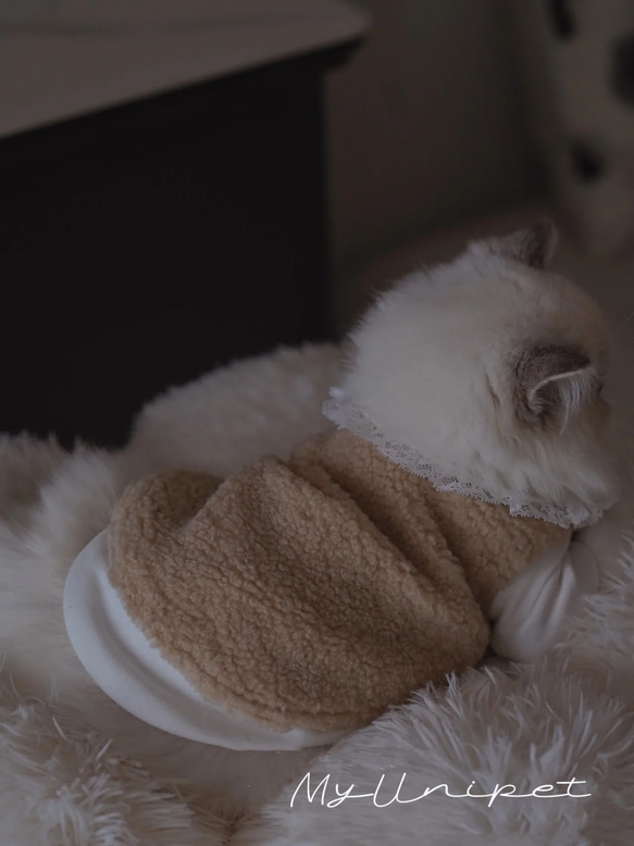 【雲にのる】無垢材キャットタワー北欧風 木製 天然木 ペット家具　猫ベッド（翌日発送可能） 