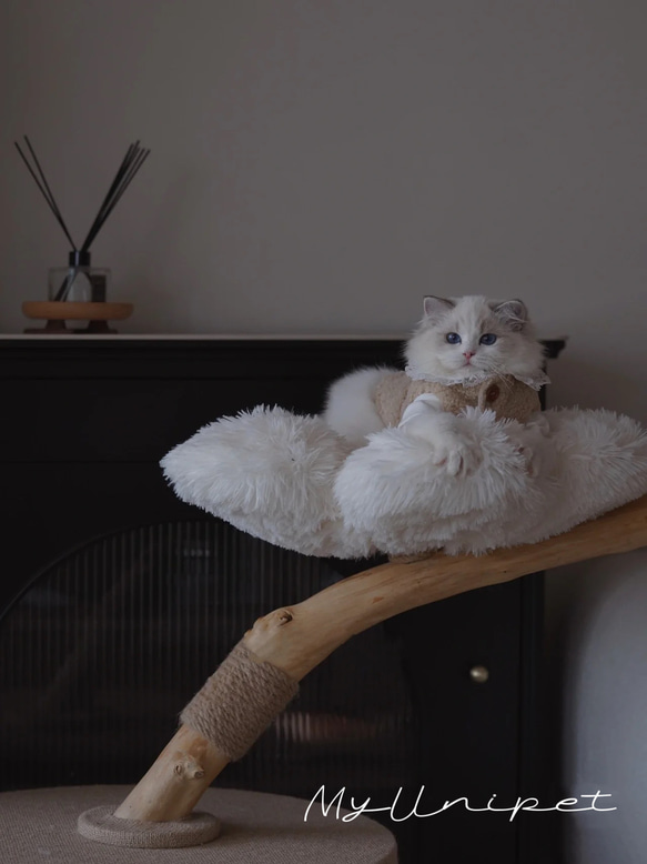 【雲にのる】無垢材キャットタワー北欧風 木製 天然木 ペット家具　猫ベッド（翌日発送可能） 