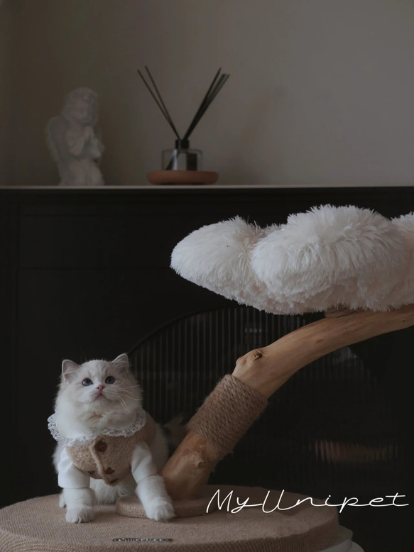 【雲にのる】無垢材キャットタワー北欧風 木製 天然木 ペット家具　猫ベッド（翌日発送可能） 