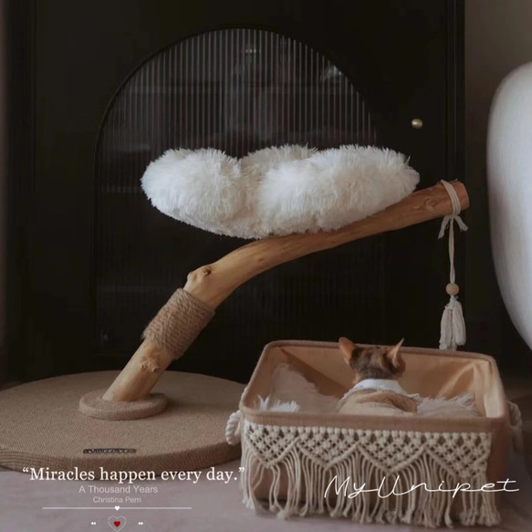【雲にのる】無垢材キャットタワー北欧風 木製 天然木 ペット家具　猫ベッド（翌日発送可能） 