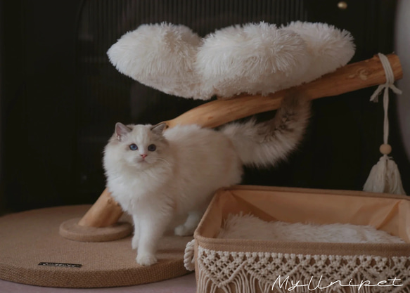 【雲にのる】無垢材キャットタワー北欧風 木製 天然木 ペット家具　猫ベッド（翌日発送可能） 