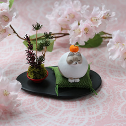 和モダン　座布団に座っている猫とミニ盆栽のアレンジ！　猫の日　特別な日のプレゼントにおすすめ♪ 3枚目の画像