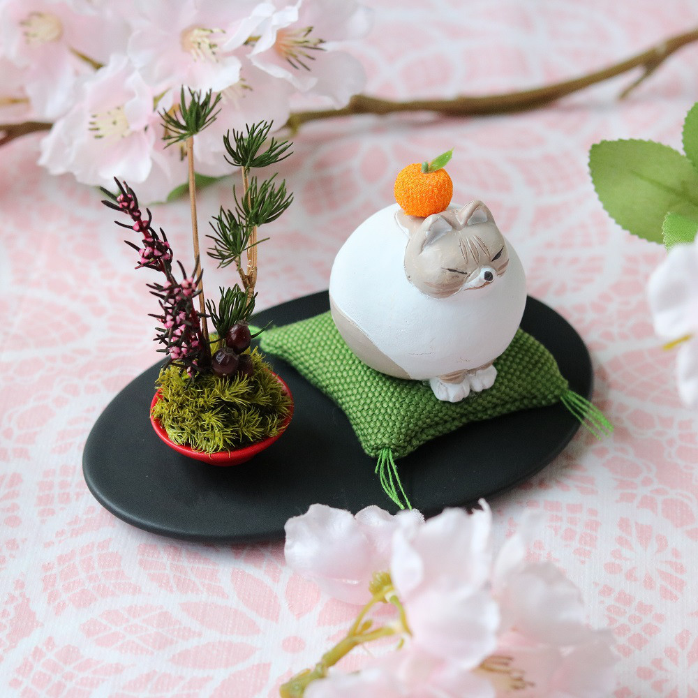 Chipi♡様専用多肉植物販売会 ui