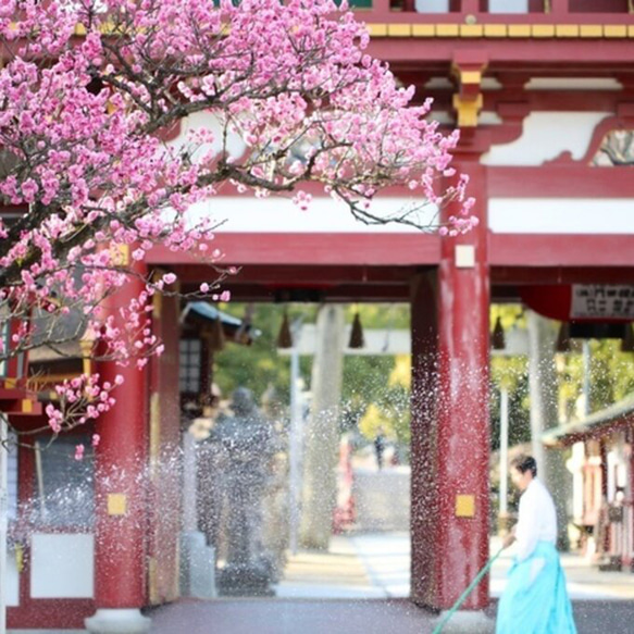 【再販】リアル花ノ香　梅の花15ml　和香水　リアル花ノ香　2月の花香水　アロマ香水　天 5枚目の画像