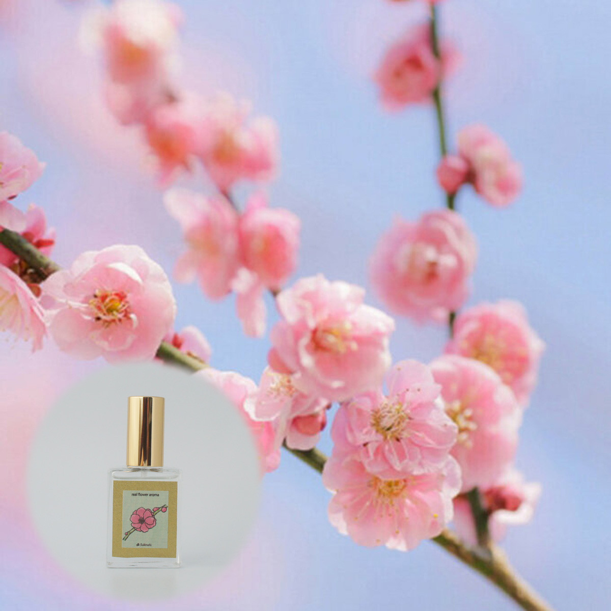 【再販】リアル梅の花15ml　2月の花アロマ　生花の香りの再現　生花のミストスプレー　ファブリックミスト