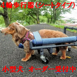 犬の４輪歩行器、小型犬歩行器、（シートタイプ） 1枚目の画像