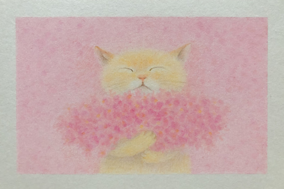 【原画】春ねこ　〜君に花束を〜 1枚目の画像