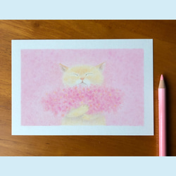 【原画】春ねこ　〜君に花束を〜 2枚目の画像