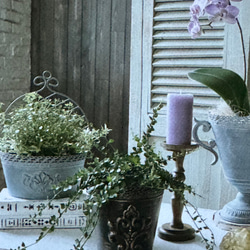《可愛いブリキアンティーク鉢 》シェリルベーシック 観葉植物 多肉植物 お花寄せ植え ブリキ缶 丸鉢 インテリア 520 2枚目の画像