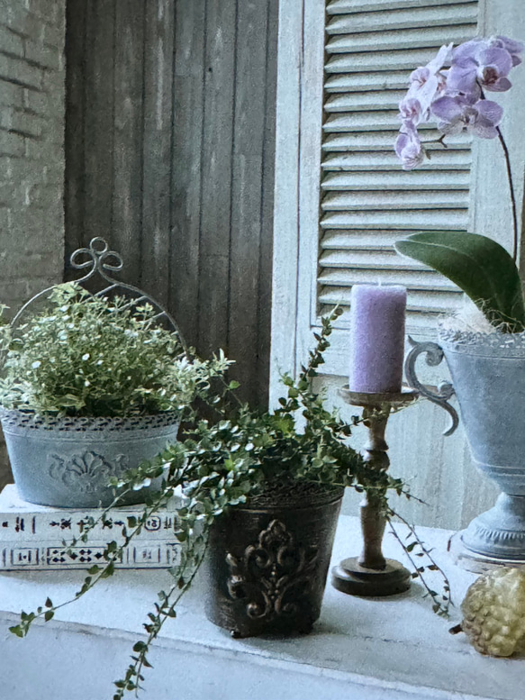 《可愛いブリキアンティーク鉢 》シェリルベーシック 観葉植物 多肉植物 お花寄せ植え ブリキ缶 丸鉢 インテリア 520 2枚目の画像