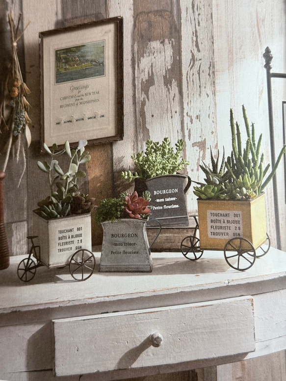 《新作 可愛いブリキ鉢 》 トゥシャンポットW 多肉植物 お花の寄せ植えに ガーデニング アンティーク 529 2枚目の画像