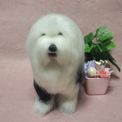 羊毛フェルト オーダー 「リアルで可愛いワンちゃん」柴犬 うちの子 ぬいぐるみ 6f1f6e7b2af0516df8f3a34c086a9e