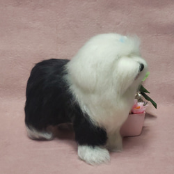 羊毛フェルト オーダー 「リアルで可愛いワンちゃん」 オールドイングリッシュシープドッグ うちの子 犬 ぬいぐるみ 3枚目の画像