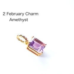 2月のチャーム Amethyst アメジスト 2月誕生石 1枚目の画像