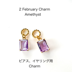 2月のチャーム Amethyst アメジスト 2月誕生石 2枚目の画像