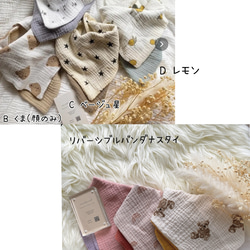 人気✩.*男女選べるデザイン出産祝いセット☾ᐝおしゃれ/可愛い/男の子/女の子/名入れ/ 9枚目の画像