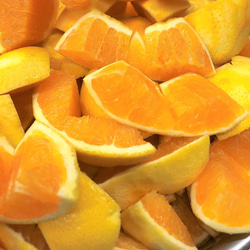 とっても珍しい国産のバレンシアオレンジ！和歌山県産バレンシアオレンジで作ったチョコスプレッド 5枚目の画像