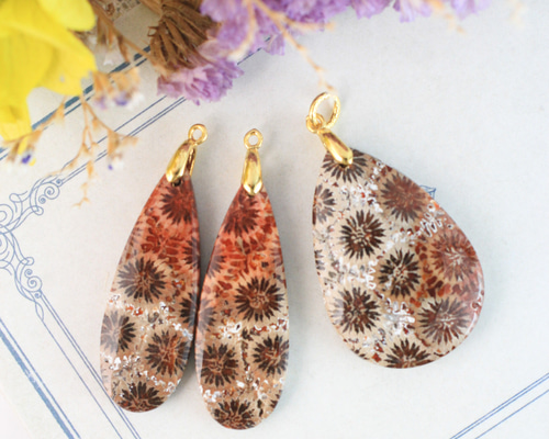 フォッシル コーラル 天然カラー ポイント フォッシル コーラル 天然カラー ポイント 193fe463439ec535a446f183873d5e