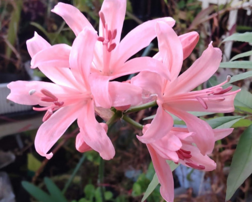 a717dbab7444ae90307f9811bfe1ef