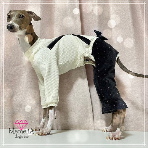 イタグレ用犬服】コーデュロイが上品でおしゃれフリルパンツの