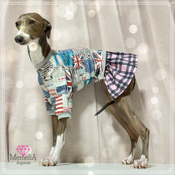 【小型犬用犬服】国旗のスウェットがおしゃれ♡チェックスカートのスクールガールワンピース 1枚目の画像