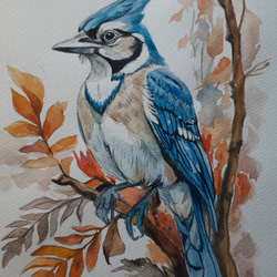水彩画　美しい青い鳥　BlueJay 3枚目の画像