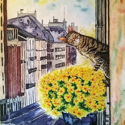 フィオリーナの花とのぞき見する隣のキジトラ猫さん 1枚目の画像