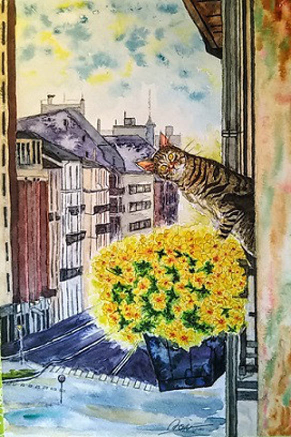 フィオリーナの花とのぞき見する隣のキジトラ猫さん 1枚目の画像